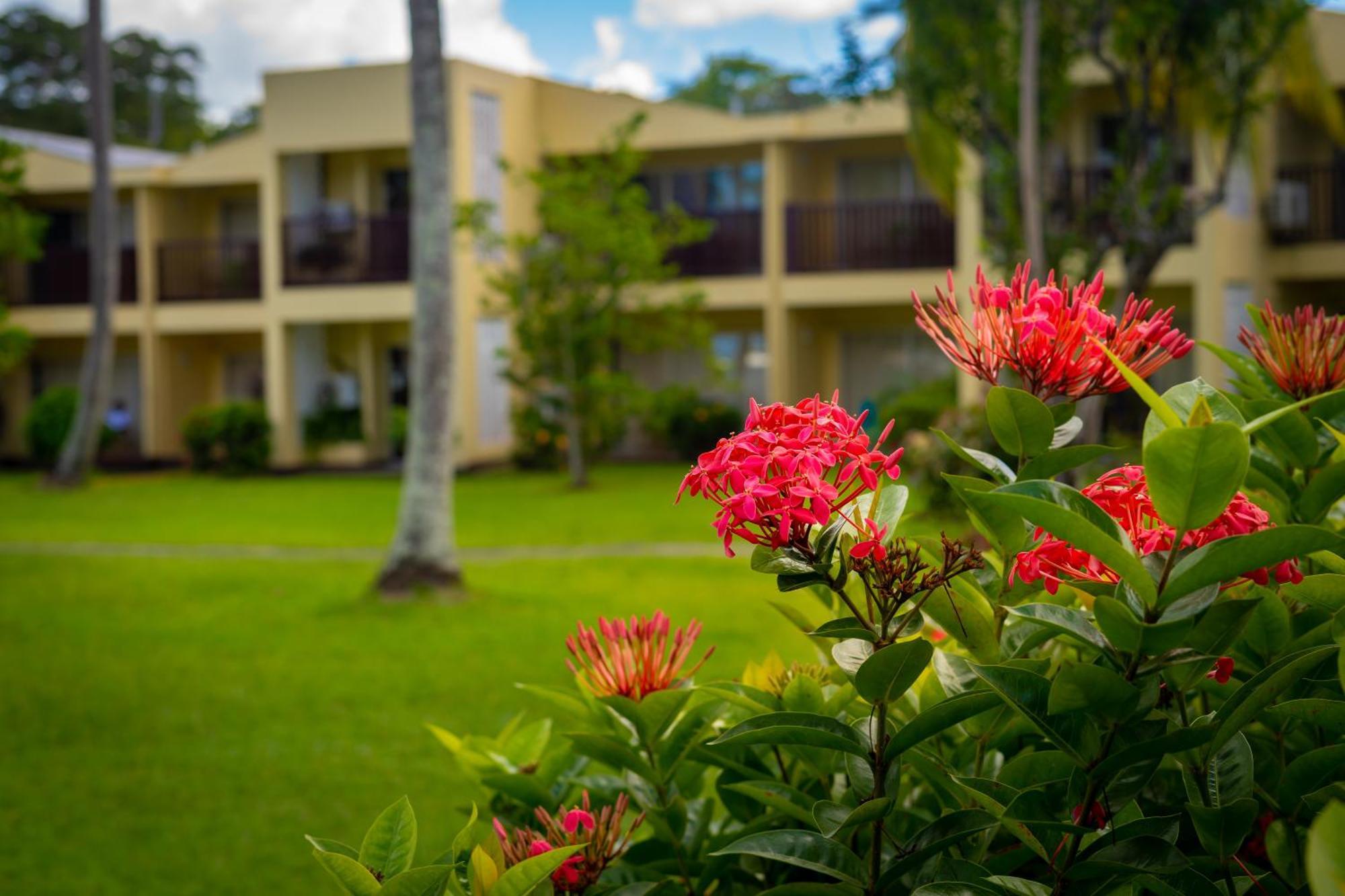 Starfish Tobago Hotel Black Rock Exterior photo