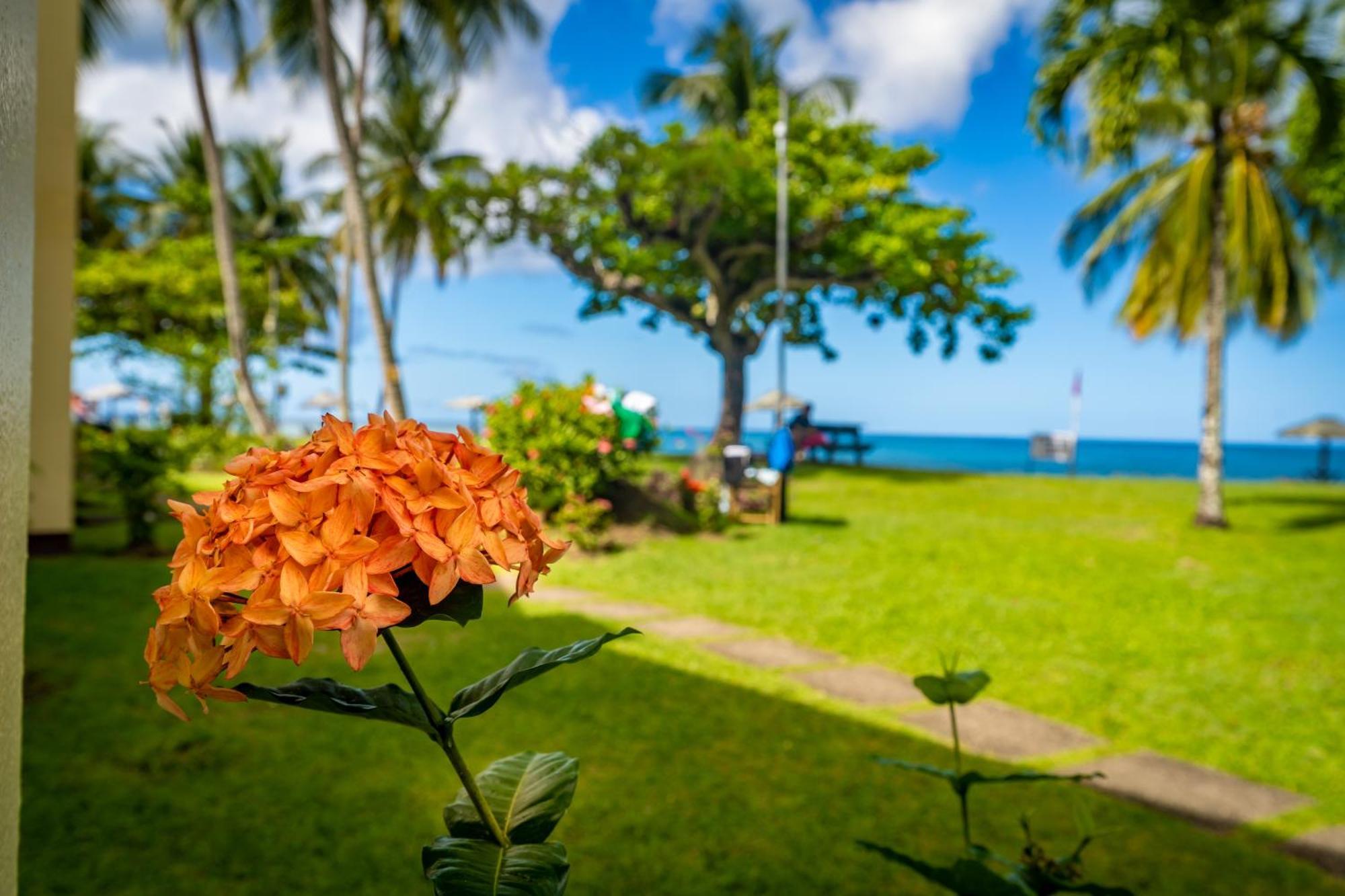 Starfish Tobago Hotel Black Rock Exterior photo